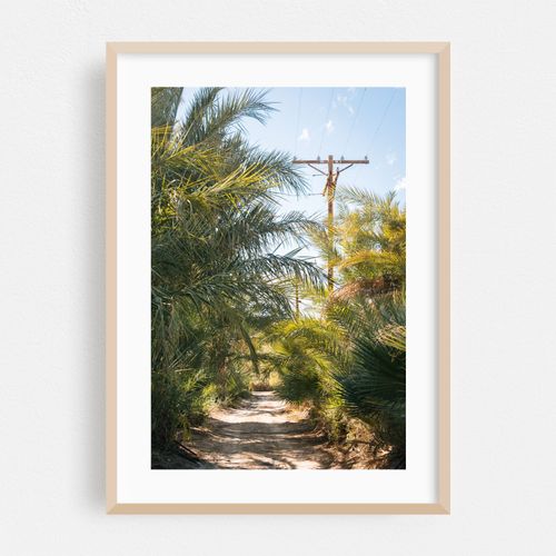 Lush Road, North Shore