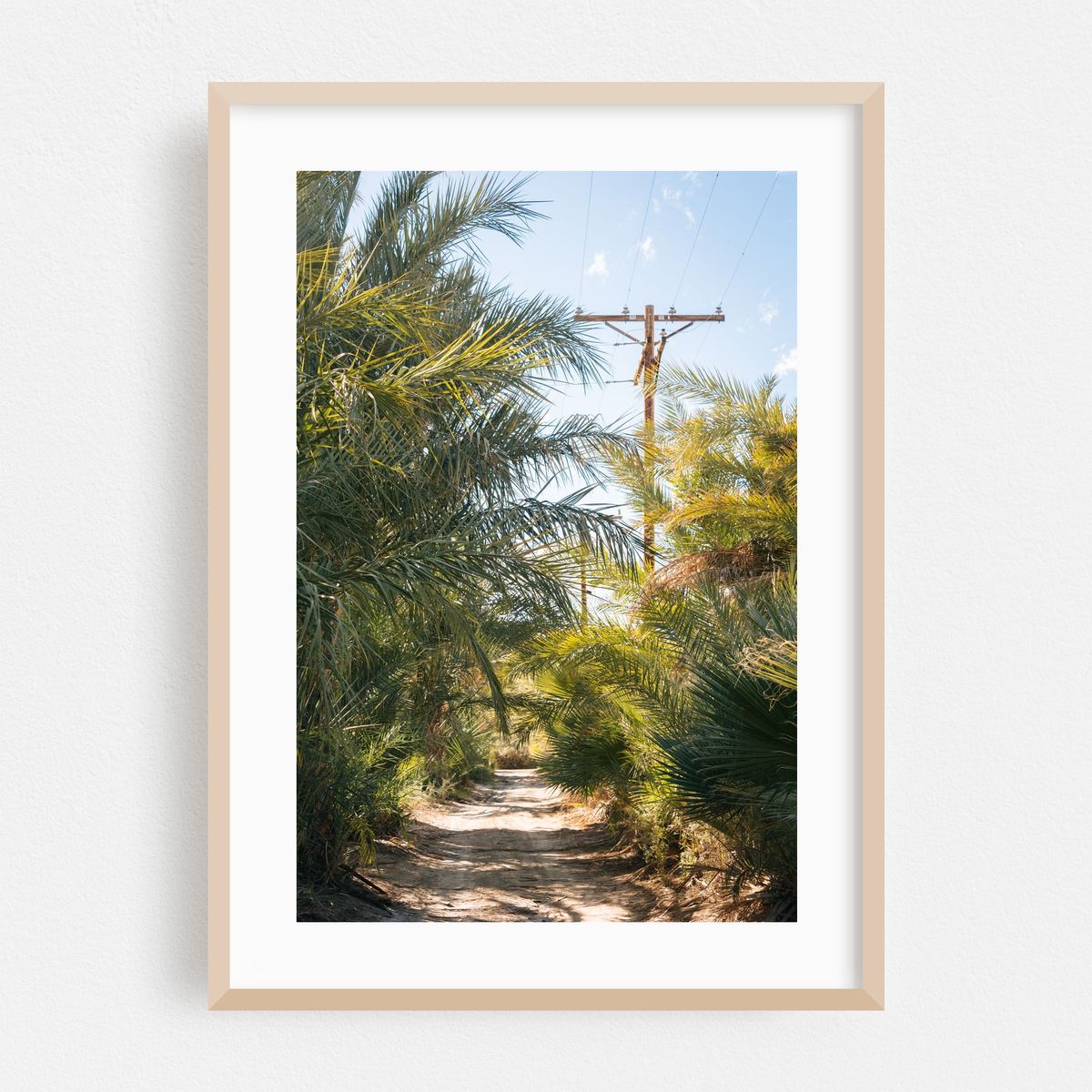 Lush Road, North Shore – image 1 of 16