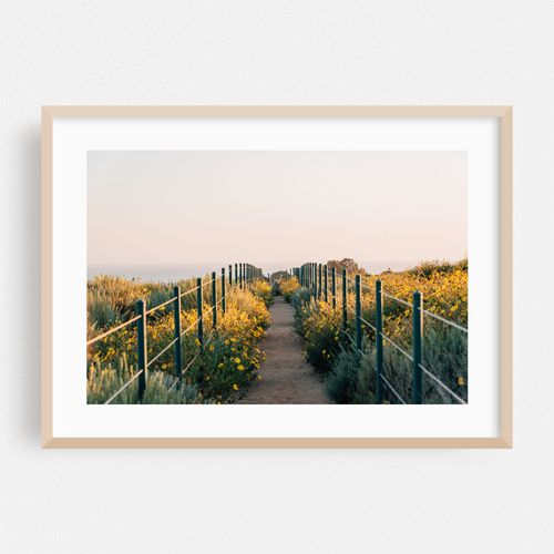 Hilltop Park Path 01