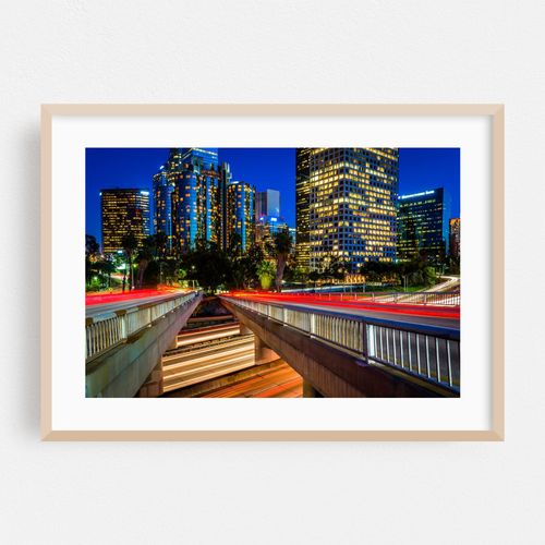 Downtown LA Cityscape 01