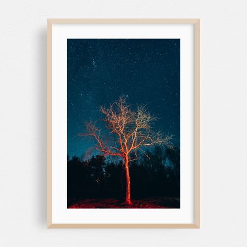 Illuminate No. 2