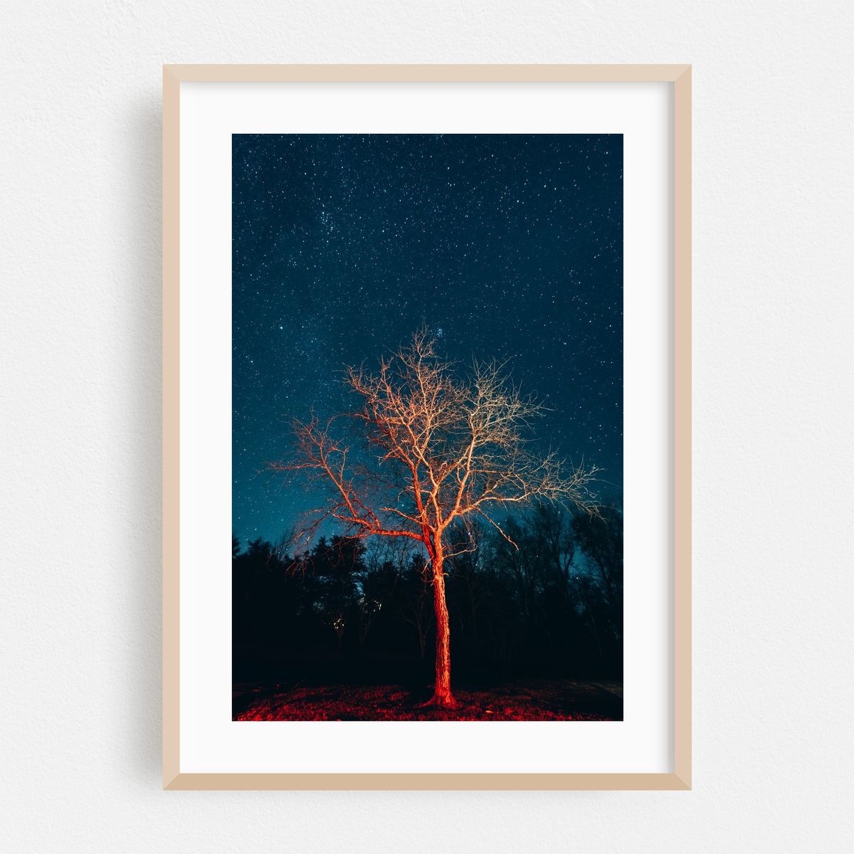 Illuminate No. 2 – image 1 of 16