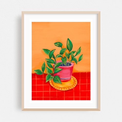 The potus plant