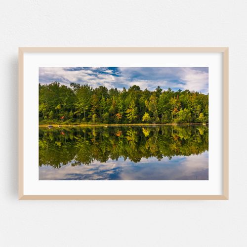 Toddy Pond 01