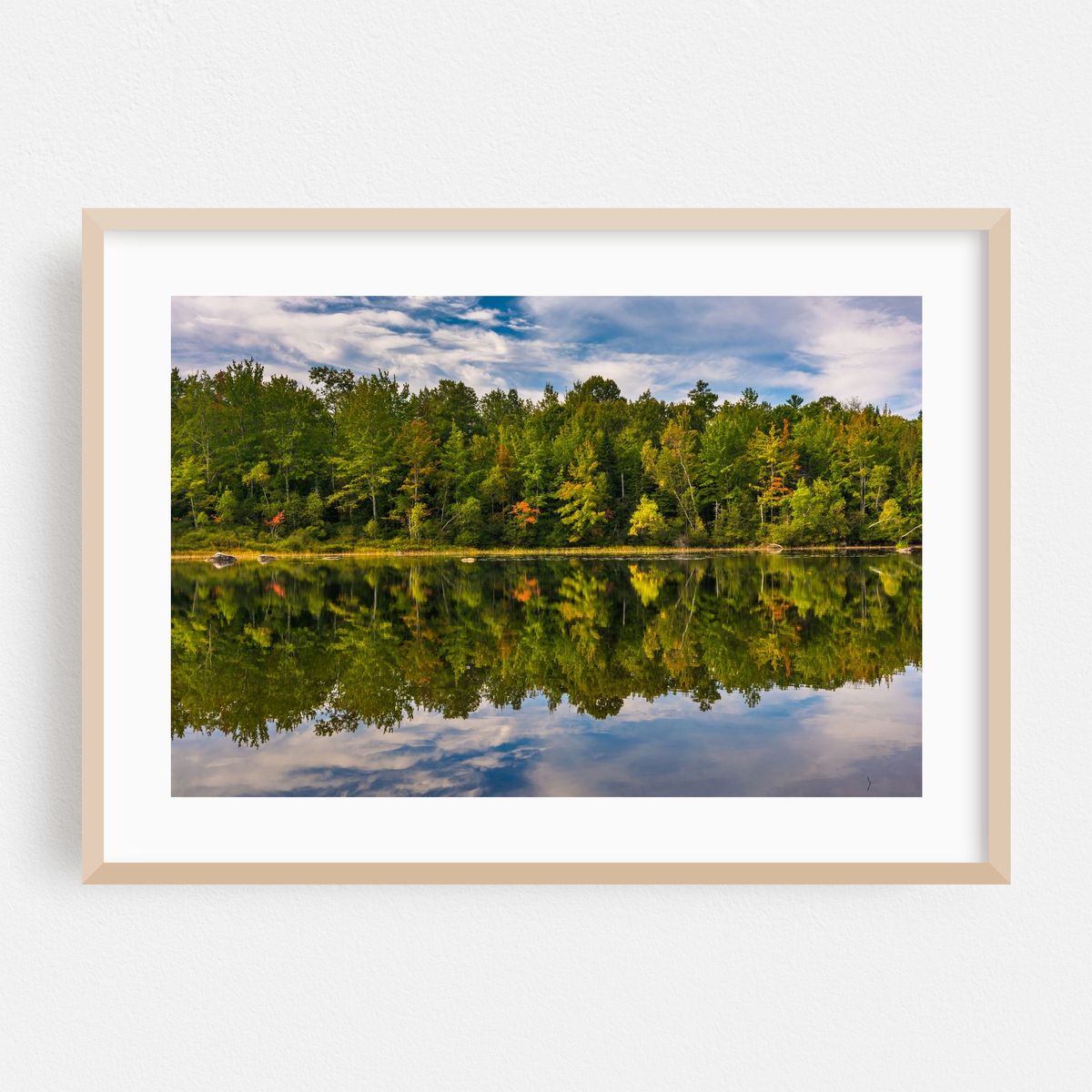 Toddy Pond 01 – image 1 of 6