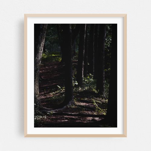Bay Circuit Forest 03