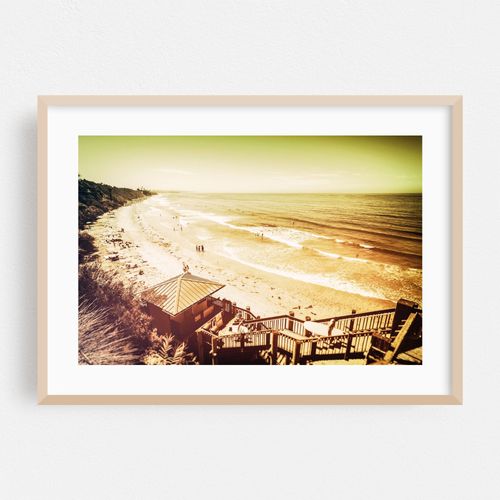 Golden Shoreline - Encinitas California
