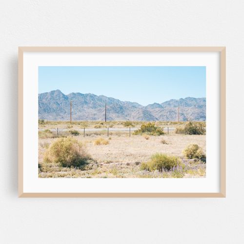 Desert Landscape
