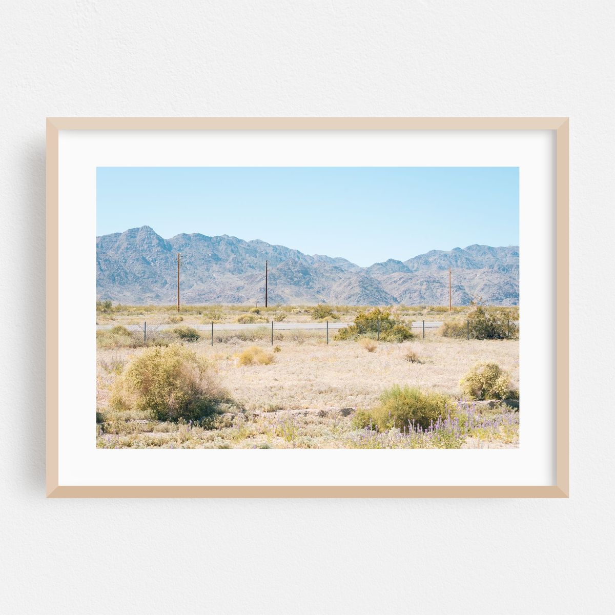Desert Landscape – image 1 of 6