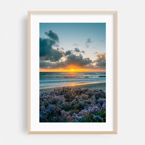 Del Mar Sunset 02