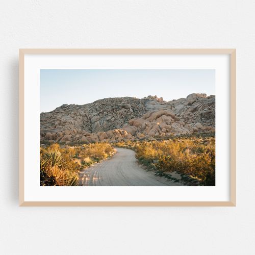 Dusty Road, Joshua Tree 02