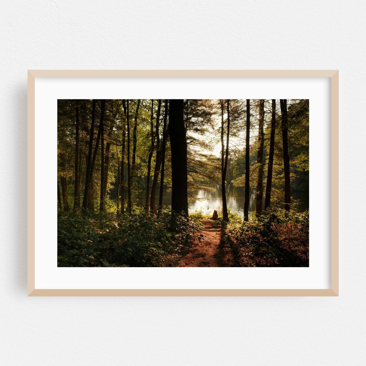In the Woods at Puffers Pond, Amherst 01 – image 1 of 6