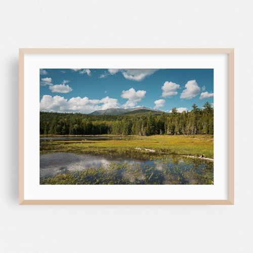 Pond in Baxter 01