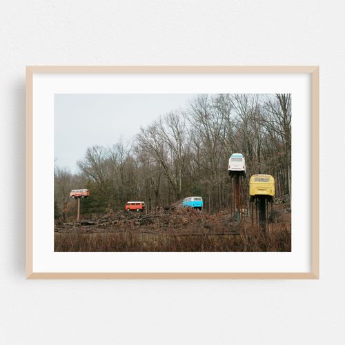 VW Trees, Walkill 01