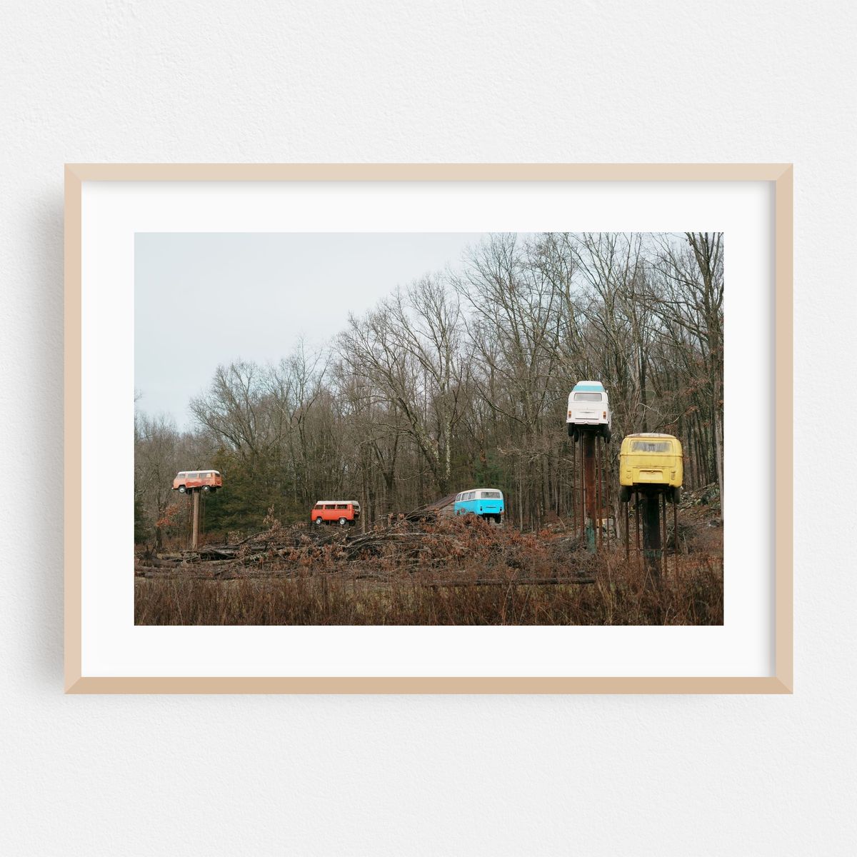 VW Trees, Walkill 01 – image 1 of 6
