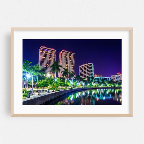Palms and The Intracoastal Waterway