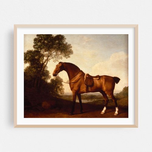A Saddled Bay Hunter (1786)