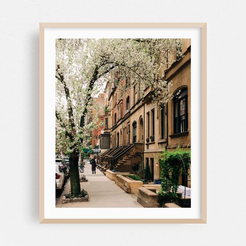 73rd Street Brownstones