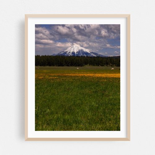 Field with Mountain View