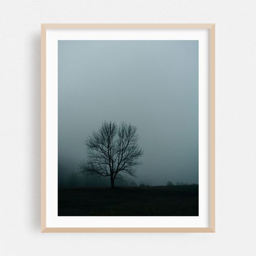 Tree in Fog, Peaks of Otter