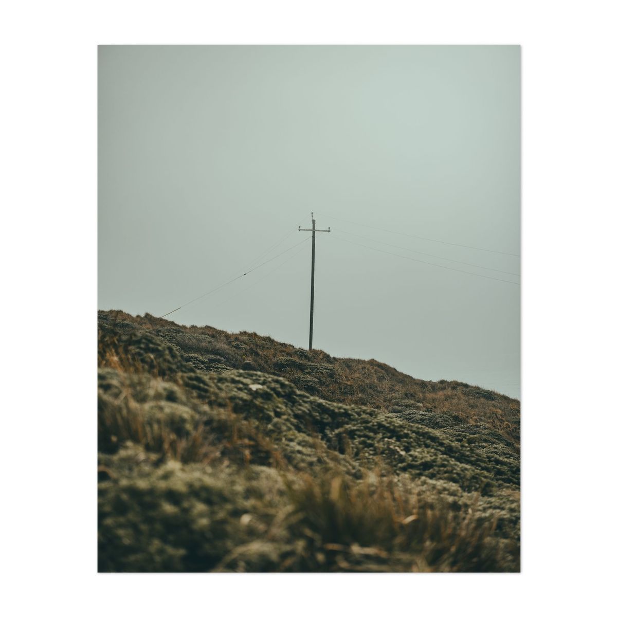 Point Reyes 09 - 2026 – image 1 of 2