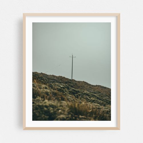 Point Reyes 09 - 2026