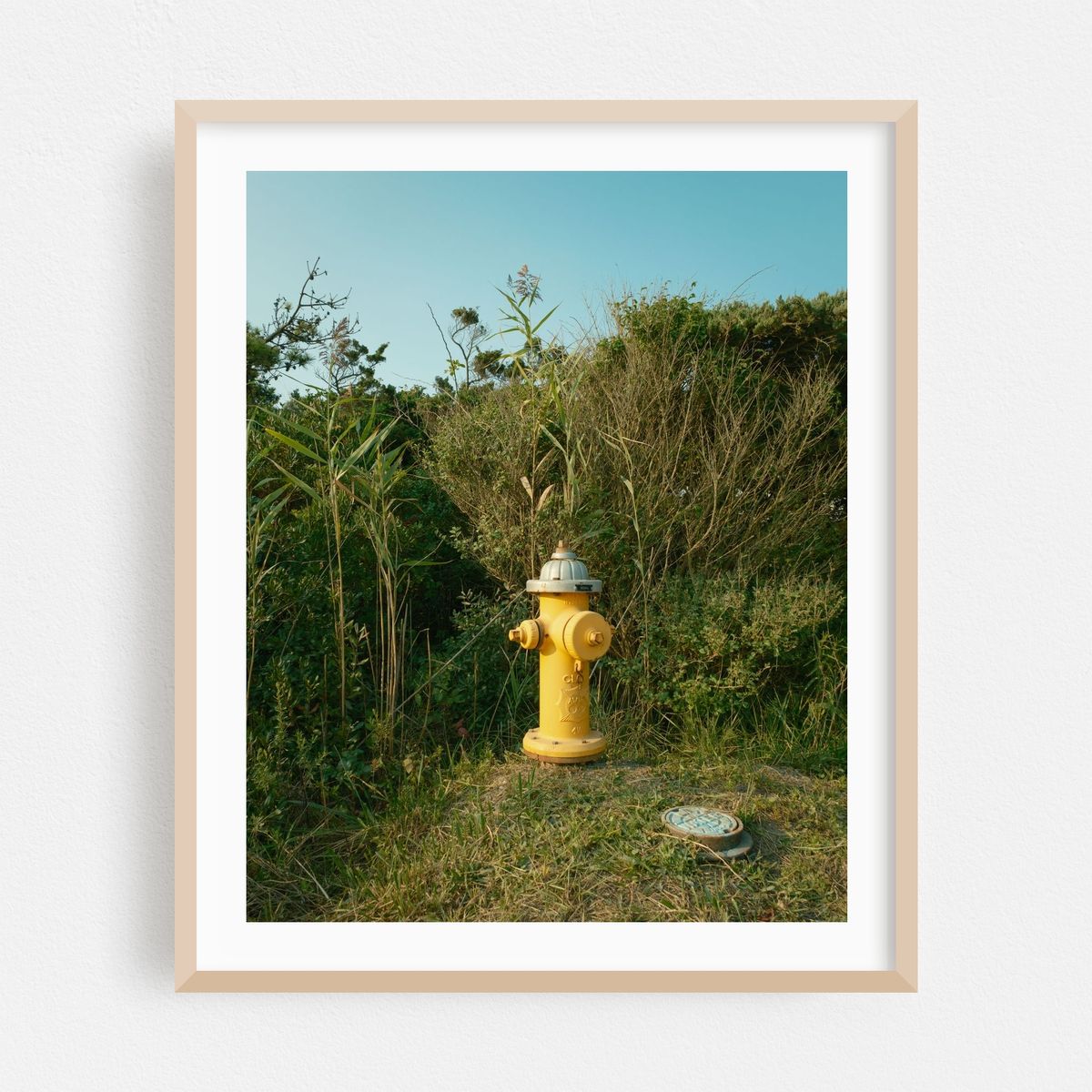 Fire Hydrant, Fire Island – image 1 of 12
