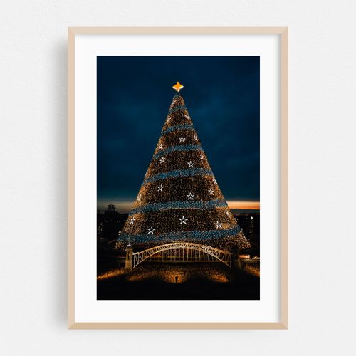 National Christmas Tree 02