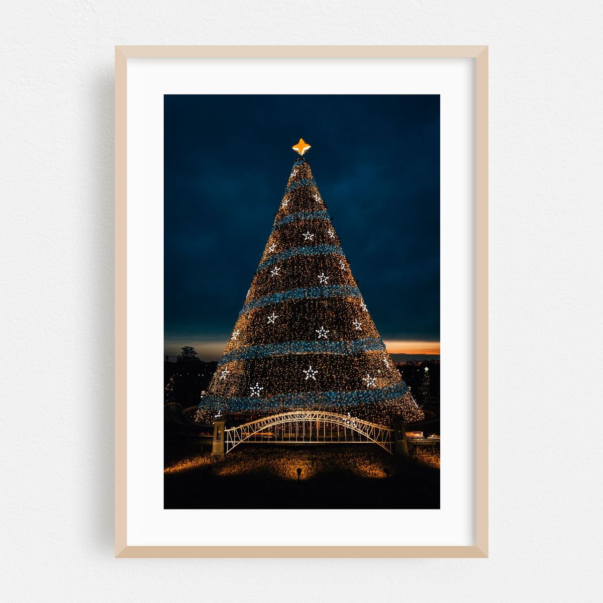 National Christmas Tree 02 – image 1 of 16