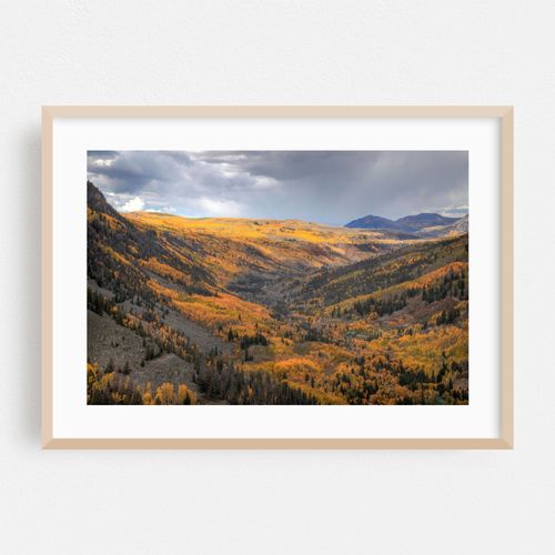 Colorado Lizard Head Pass 1022