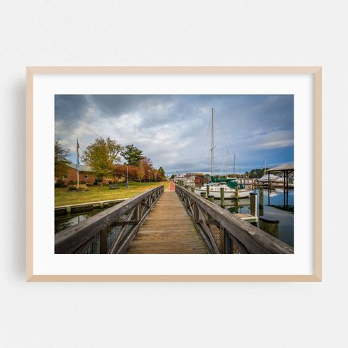 The Harbor
