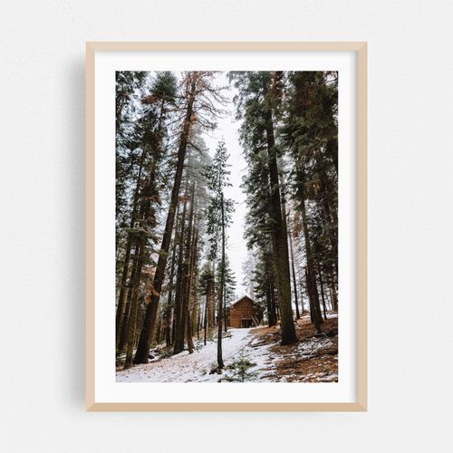 Secluded Serenity in the Frozen Woods