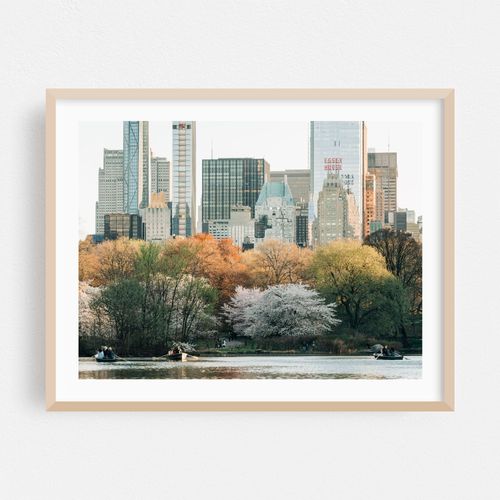 Spring at The Lake, Central Park 02
