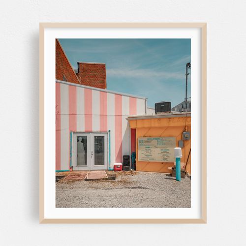 Pink Elephant 02