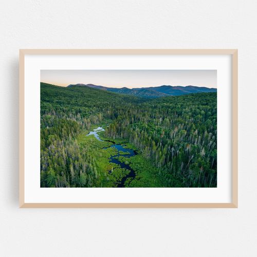 White Mountains Wetland