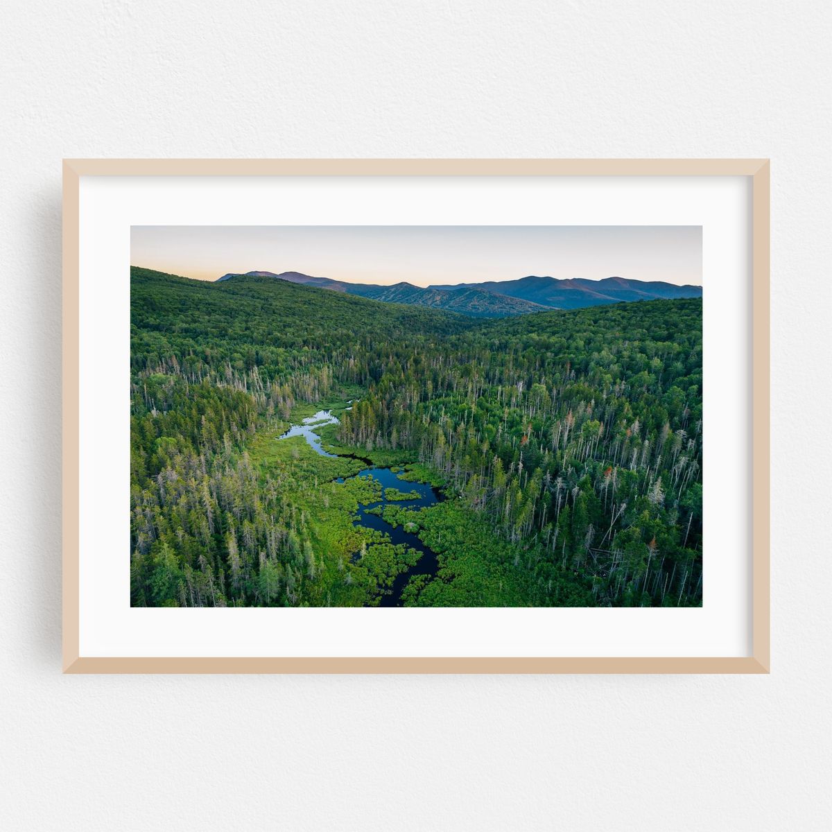 White Mountains Wetland – image 1 of 6