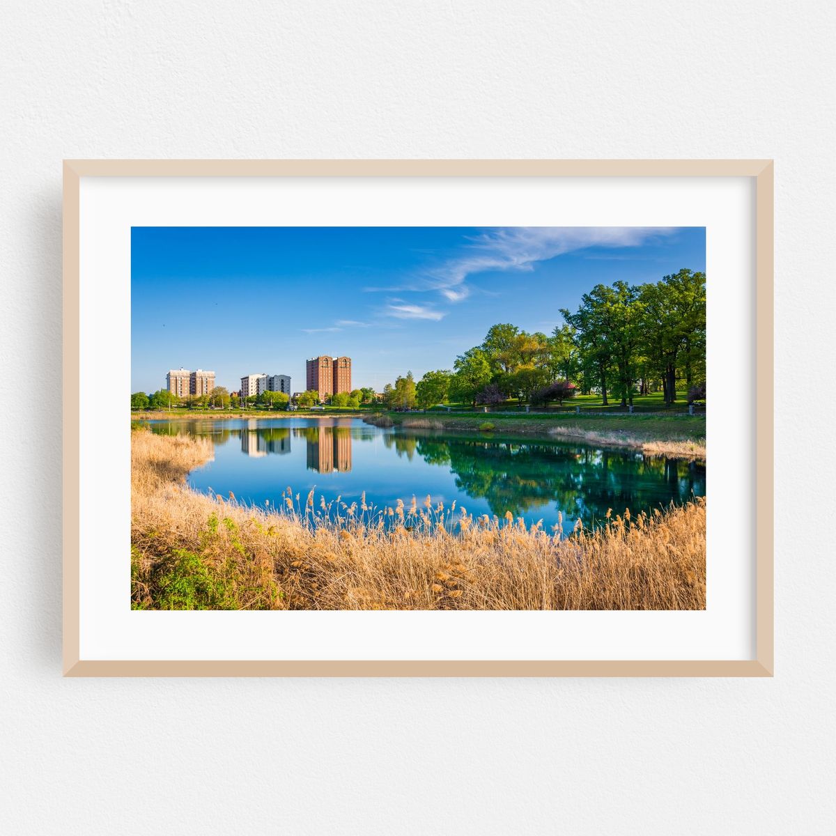 Along Druid Lake – image 1 of 6