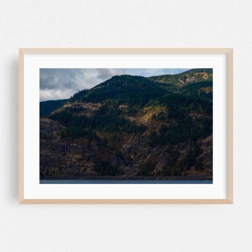 Tiny Cars, Evergreen