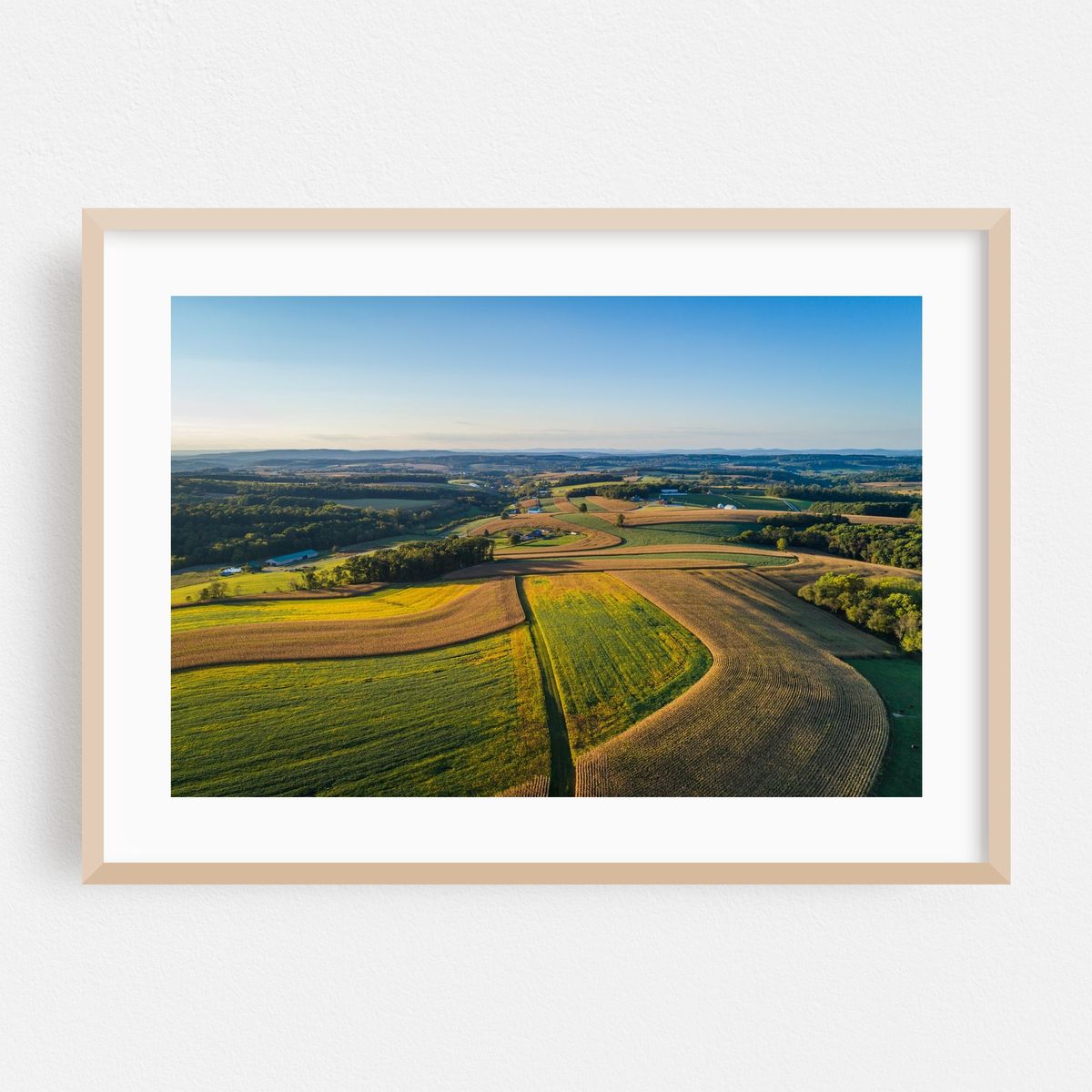 Pattern – image 1 of 6