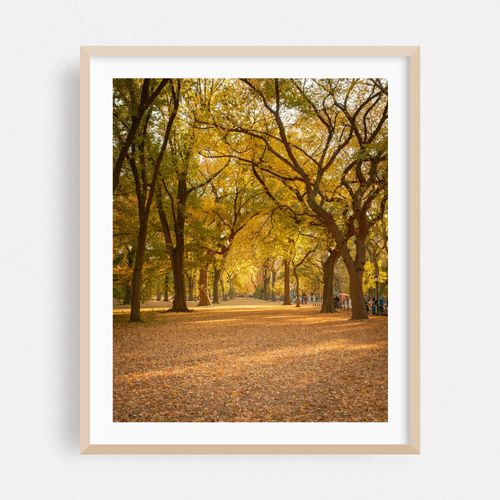 Autumn in Central Park, New York 01