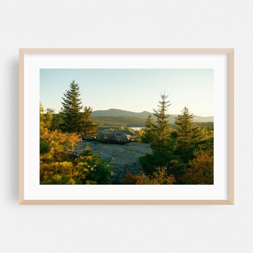 Pines at Sunset Rock 02