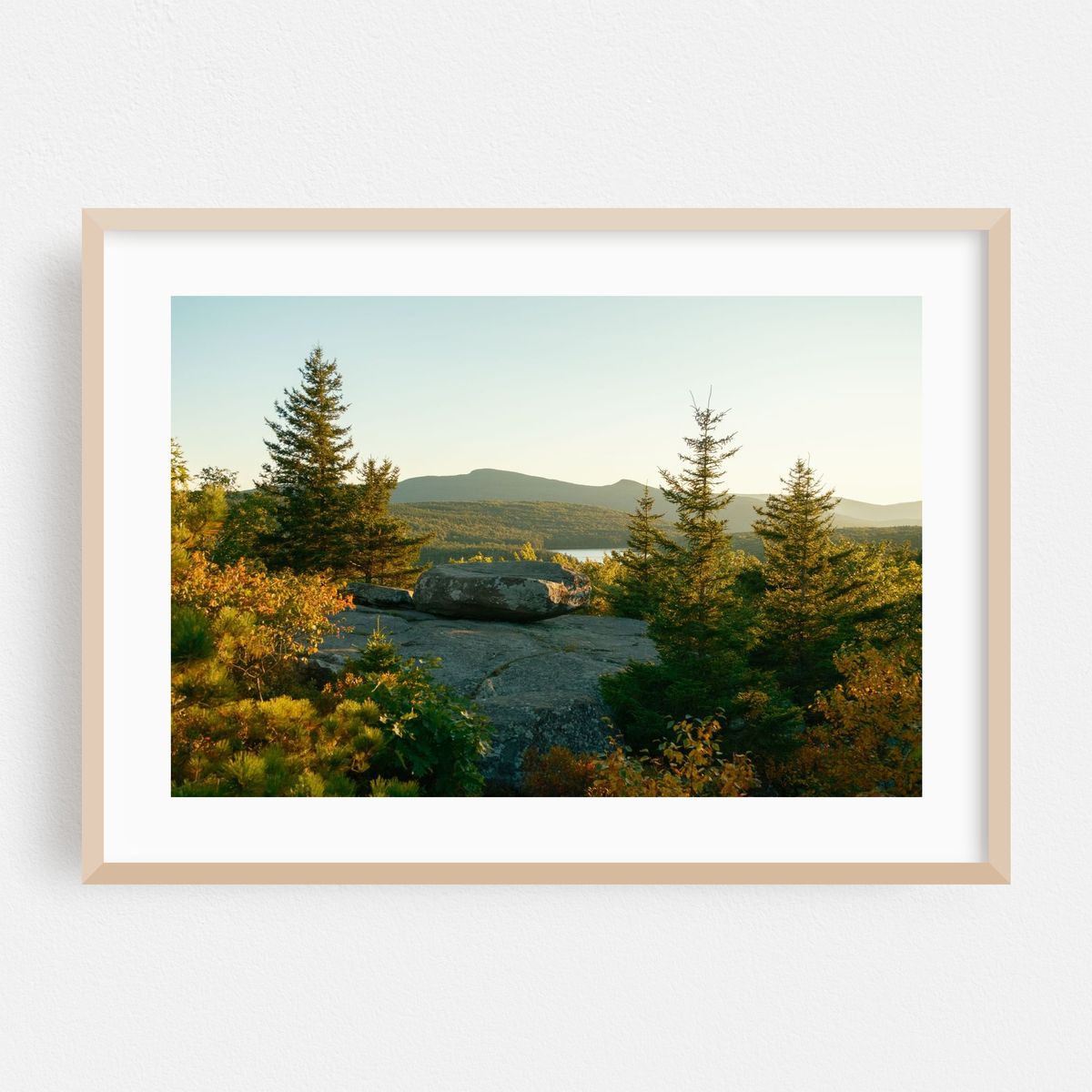 Pines at Sunset Rock 02 – image 1 of 6