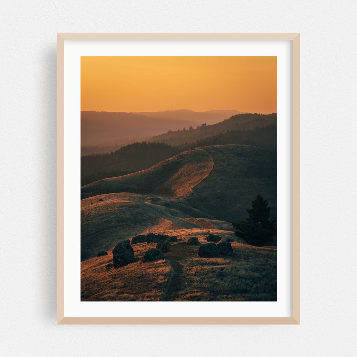Tamalpais Evening View 03 – image 1 of 12