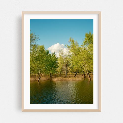 Hulberts Pond, Arcadia Wildlife Sanctuary