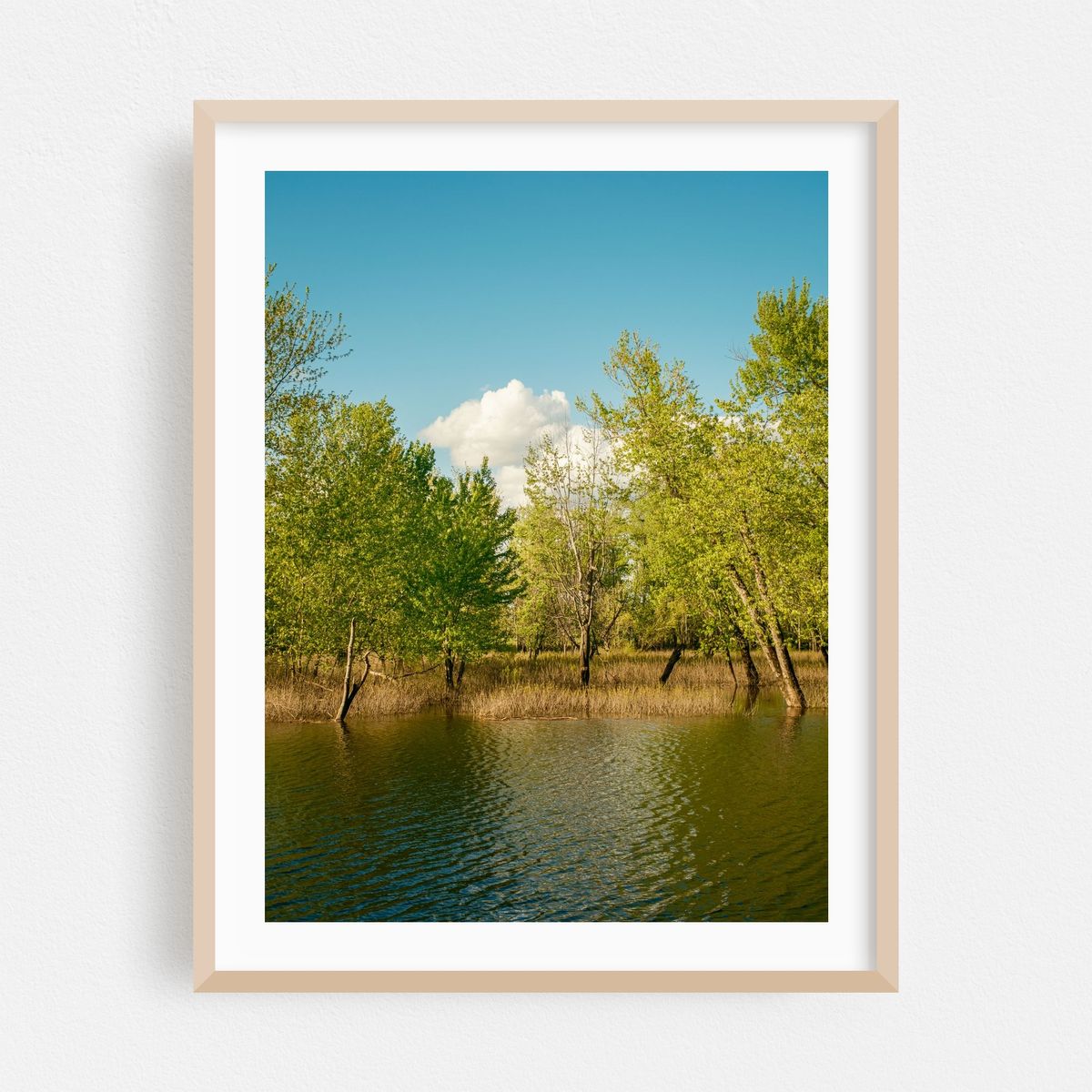Hulberts Pond, Arcadia Wildlife Sanctuary – image 1 of 3