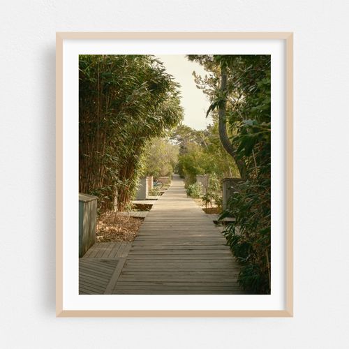 Boardwalk on Fire Island 02