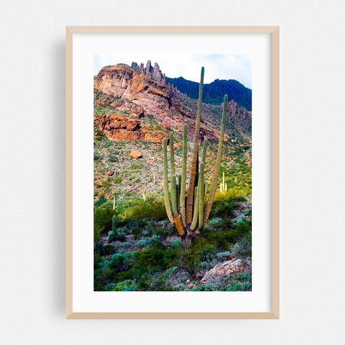 Desert Keystone
