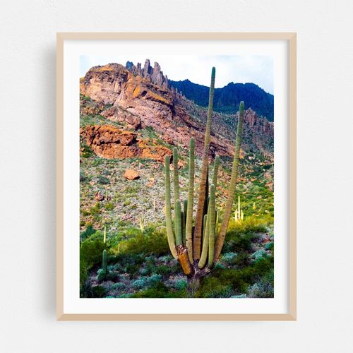 Desert Keystone
