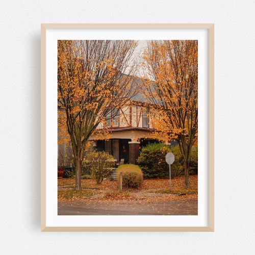 Autumn Color on Richmond, Buffalo 01