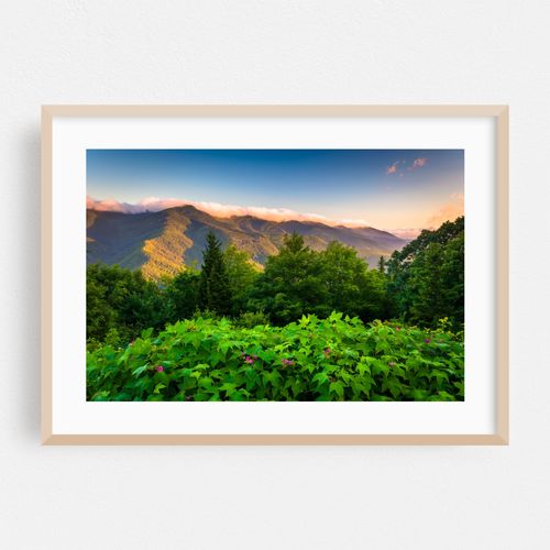 Mt. Mitchell Overlook
